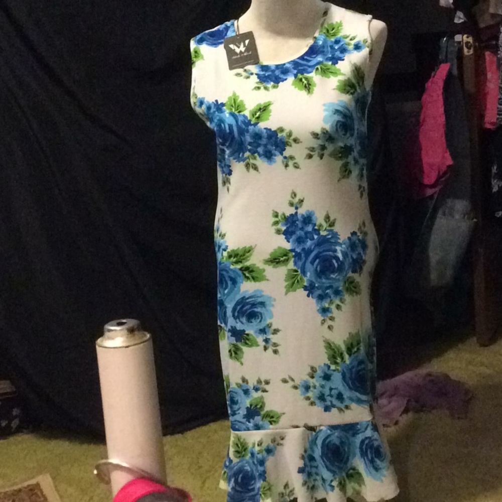 Sleeveless floral print mid length dress